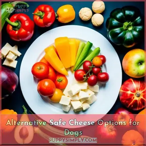 Alternative Safe Cheese Options for Dogs