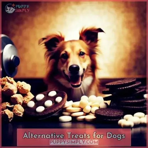 Alternative Treats for Dogs