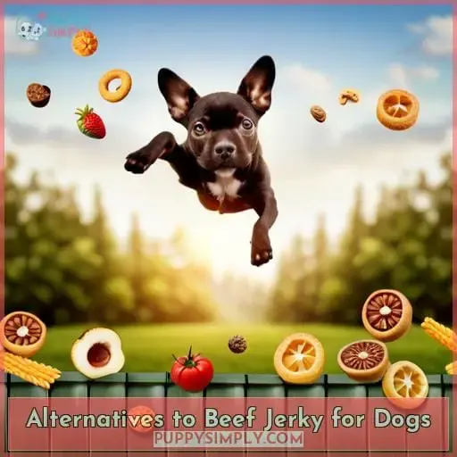 Alternatives to Beef Jerky for Dogs