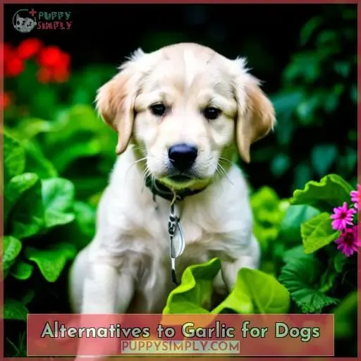 Alternatives to Garlic for Dogs
