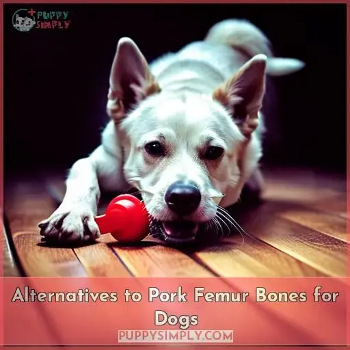 Alternatives to Pork Femur Bones for Dogs