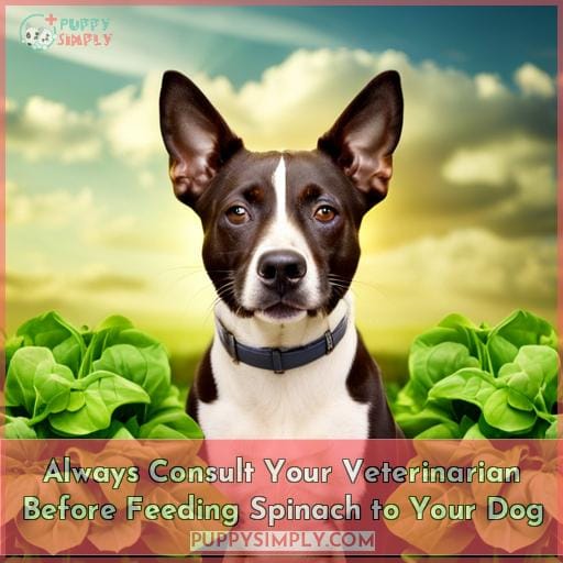 Always Consult Your Veterinarian Before Feeding Spinach to Your Dog