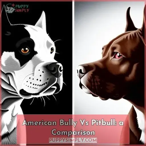 American Bully Vs Pitbull: a Comparison