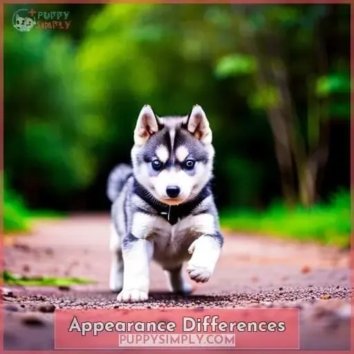 Appearance Differences