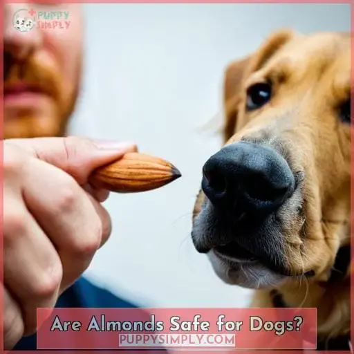 Are Almonds Safe for Dogs