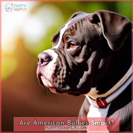 Are American Bullies Smart?