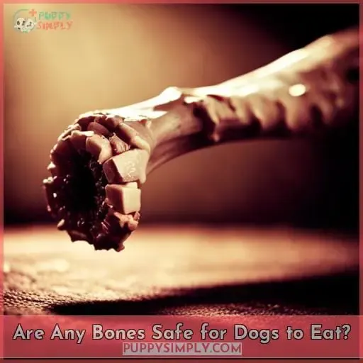 Are Any Bones Safe for Dogs to Eat?