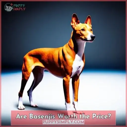 Are Basenjis Worth the Price?