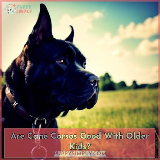 Are Cane Corsos Good With Kids? Guide For Parents