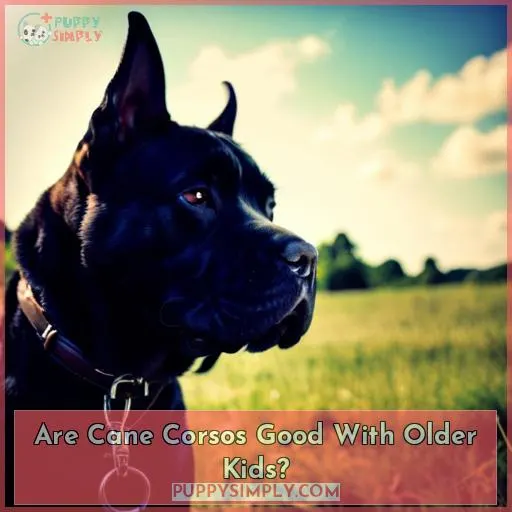 Are Cane Corsos Good With Older Kids?