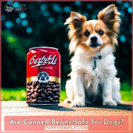 Are Canned Beans Safe for Dogs?