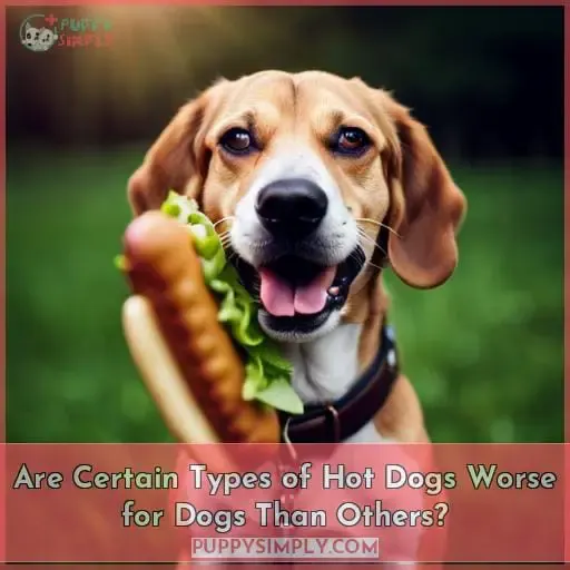 Are Certain Types of Hot Dogs Worse for Dogs Than Others