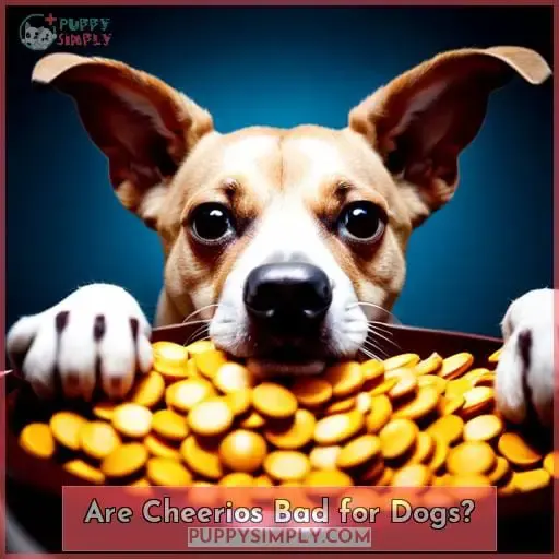 Are Cheerios Bad for Dogs?