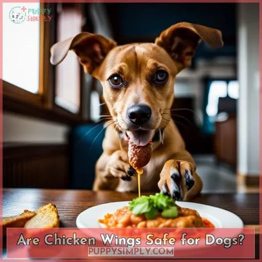 Are Chicken Wings Safe for Dogs?