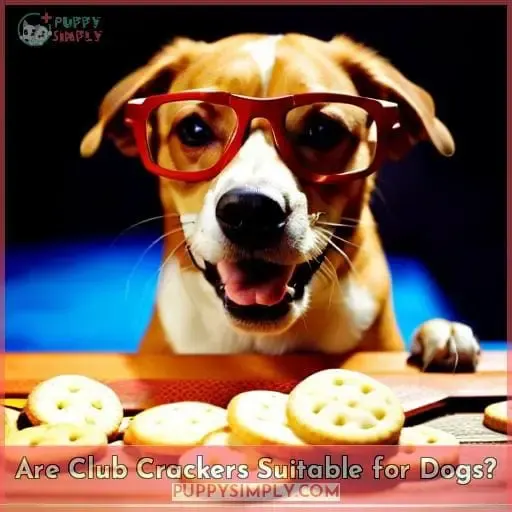 Are Club Crackers Suitable for Dogs?