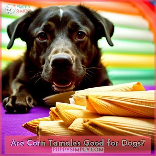 Are Corn Tamales Good for Dogs?
