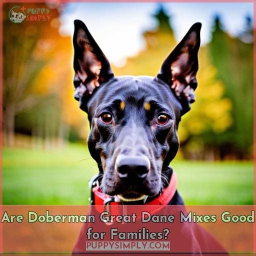 Are Doberman Great Dane Mixes Good for Families?