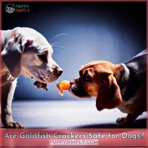 Are Goldfish Crackers Safe for Dogs?