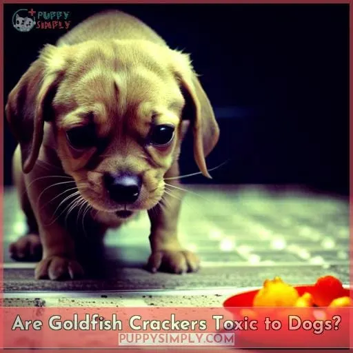 Are Goldfish Crackers Toxic to Dogs?