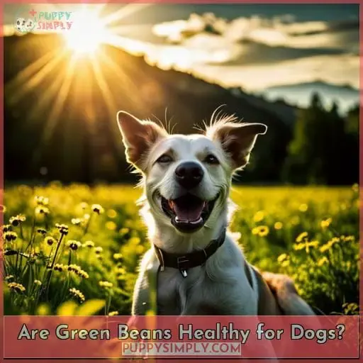 Are Green Beans Healthy for Dogs