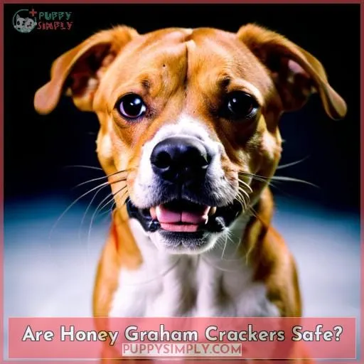 Are Honey Graham Crackers Safe?