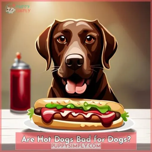 Are Hot Dogs Bad for Dogs