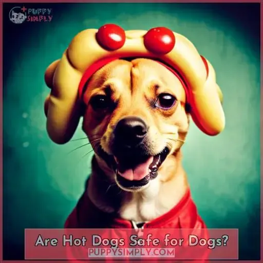Are Hot Dogs Safe for Dogs?