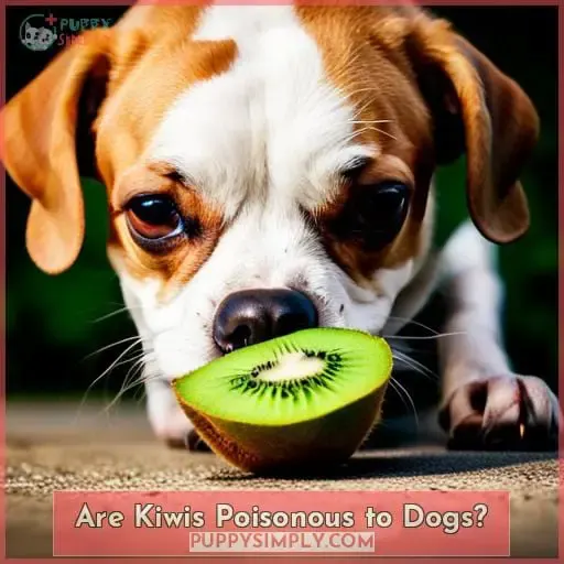 Are Kiwis Poisonous to Dogs?