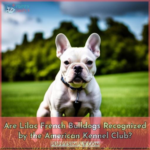 Are Lilac French Bulldogs Recognized by the American Kennel Club?