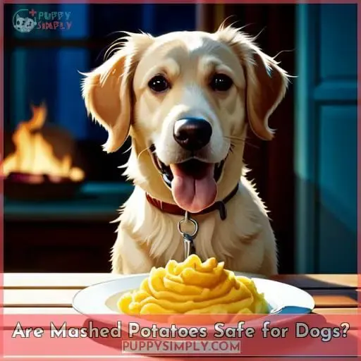 Are Mashed Potatoes Safe for Dogs