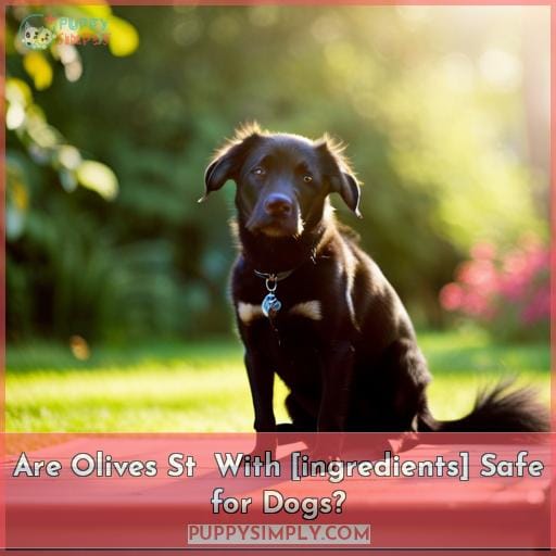 Are Olives St￭ With [ingredients] Safe for Dogs