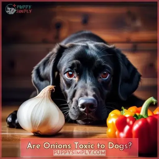 Are Onions Toxic to Dogs
