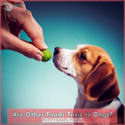 Are Other Foods Toxic to Dogs
