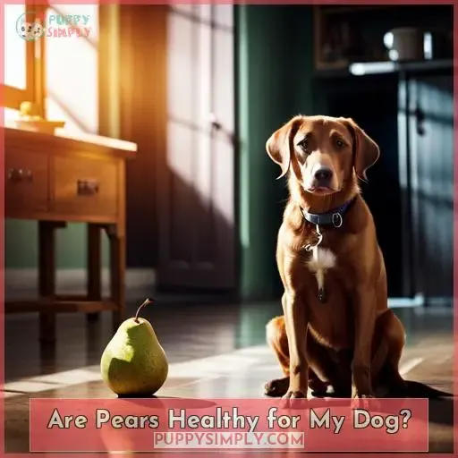 Are Pears Healthy for My Dog