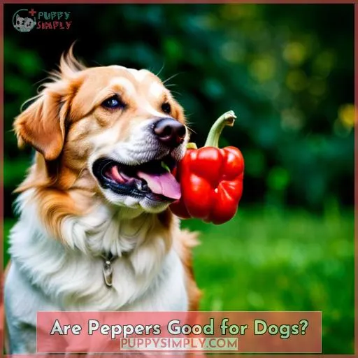 Are Peppers Good for Dogs?