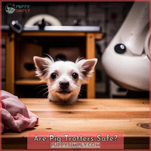 Are Pig Trotters Safe?
