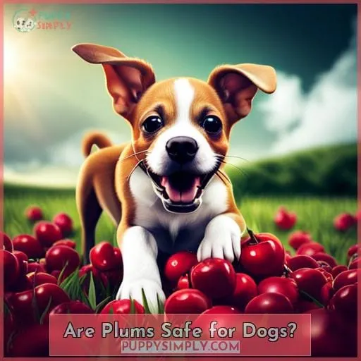 Are Plums Safe for Dogs