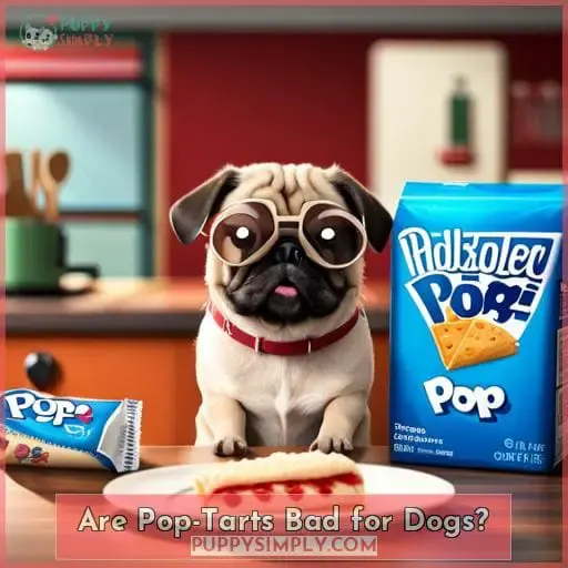 Are Pop-Tarts Bad for Dogs