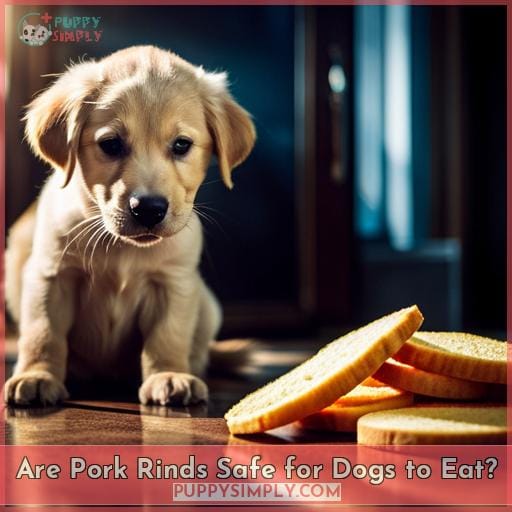 Are Pork Rinds Safe for Dogs to Eat