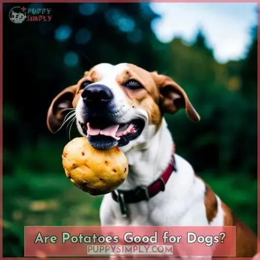 Are Potatoes Good for Dogs?