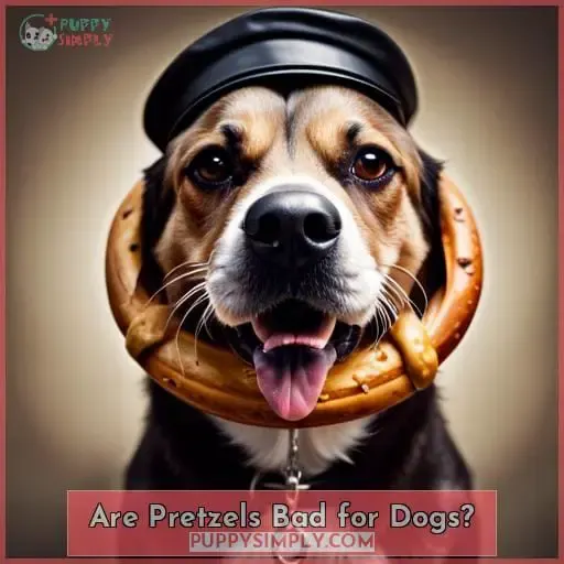 Are Pretzels Bad for Dogs?