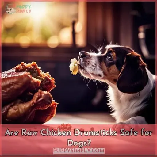 Are Raw Chicken Drumsticks Safe for Dogs?