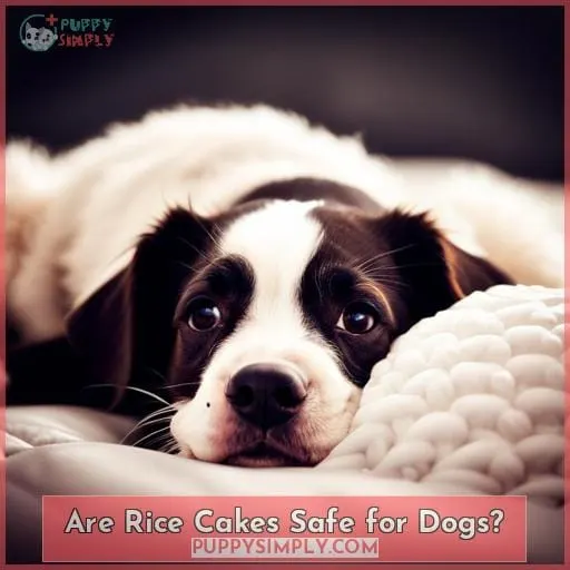 Are Rice Cakes Safe for Dogs?