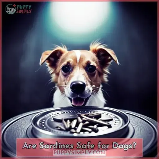 Are Sardines Safe for Dogs?