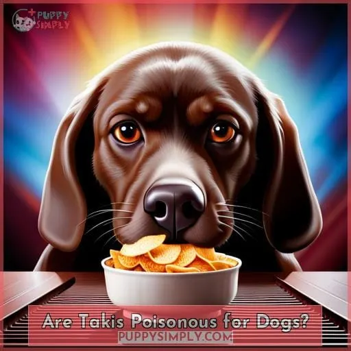 Are Takis Poisonous for Dogs?