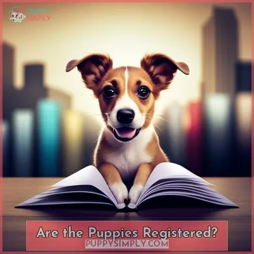 Are the Puppies Registered?