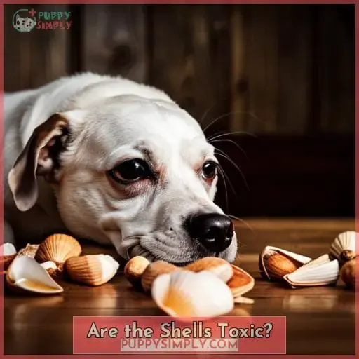 Are the Shells Toxic