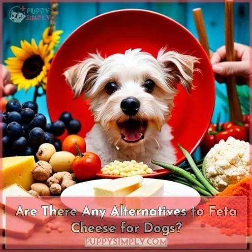 Are There Any Alternatives to Feta Cheese for Dogs?