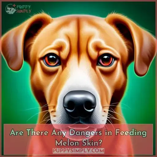 Are There Any Dangers in Feeding Melon Skin?