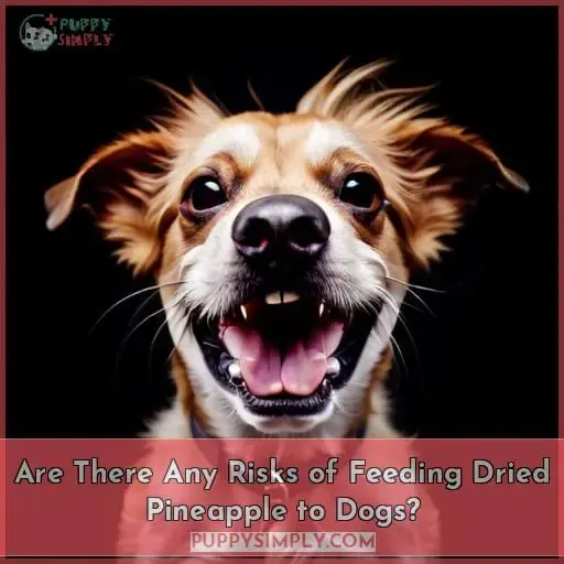 Are There Any Risks of Feeding Dried Pineapple to Dogs?